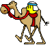 camel-smiley.gif