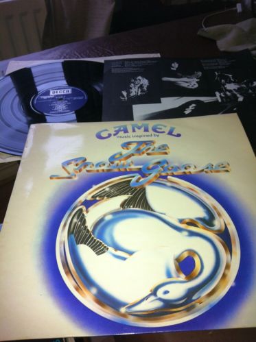 Camel-Snow Goose.jpg