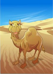 camel-vector-14-49005.jpg