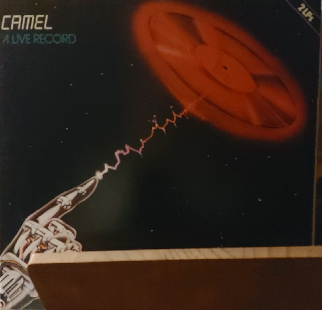 CamelLive.jpeg
