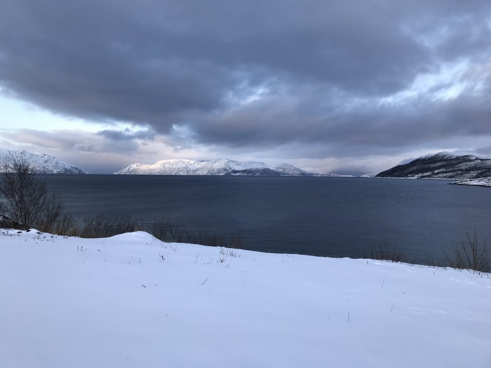 CB041DBF-BC58-4C5B-91B8-B04DDA950588.jpg