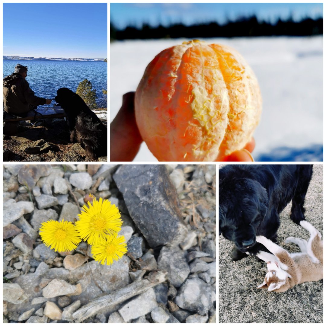 Collage_20250418_143353.jpg
