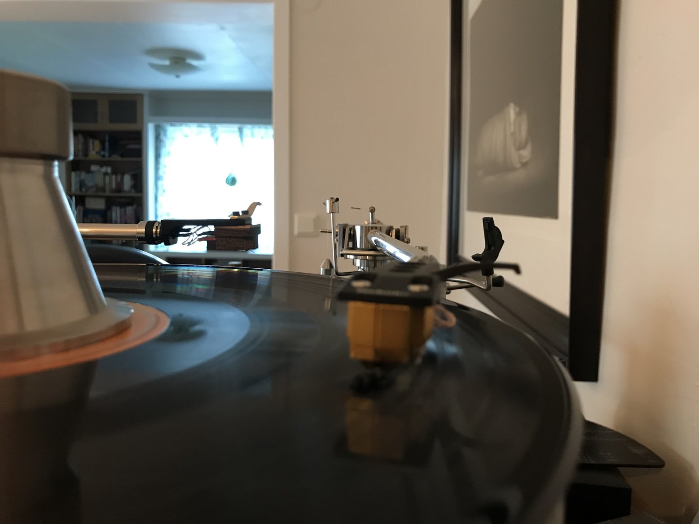 D03D8964-2F45-4591-A6D7-A1301E0461F6.jpeg