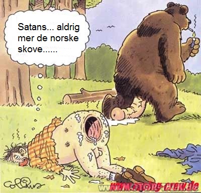 dansk bjørnetjeneste.jpg