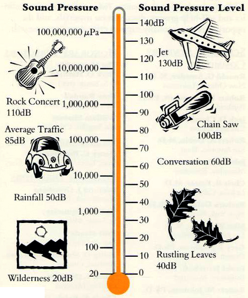 decibel-levels-ear-plugs.jpg