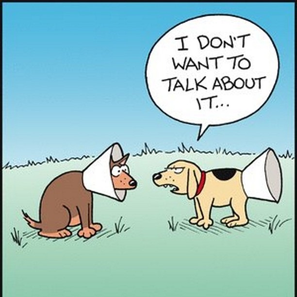 dog-humor-cone-of-shame.jpg