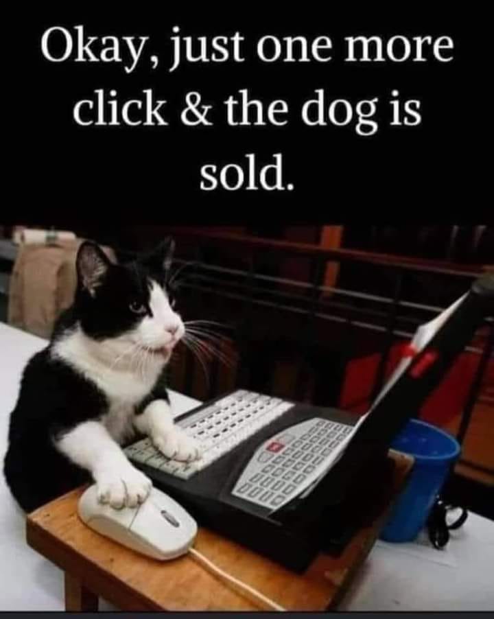 Dog Is Sold.jpg