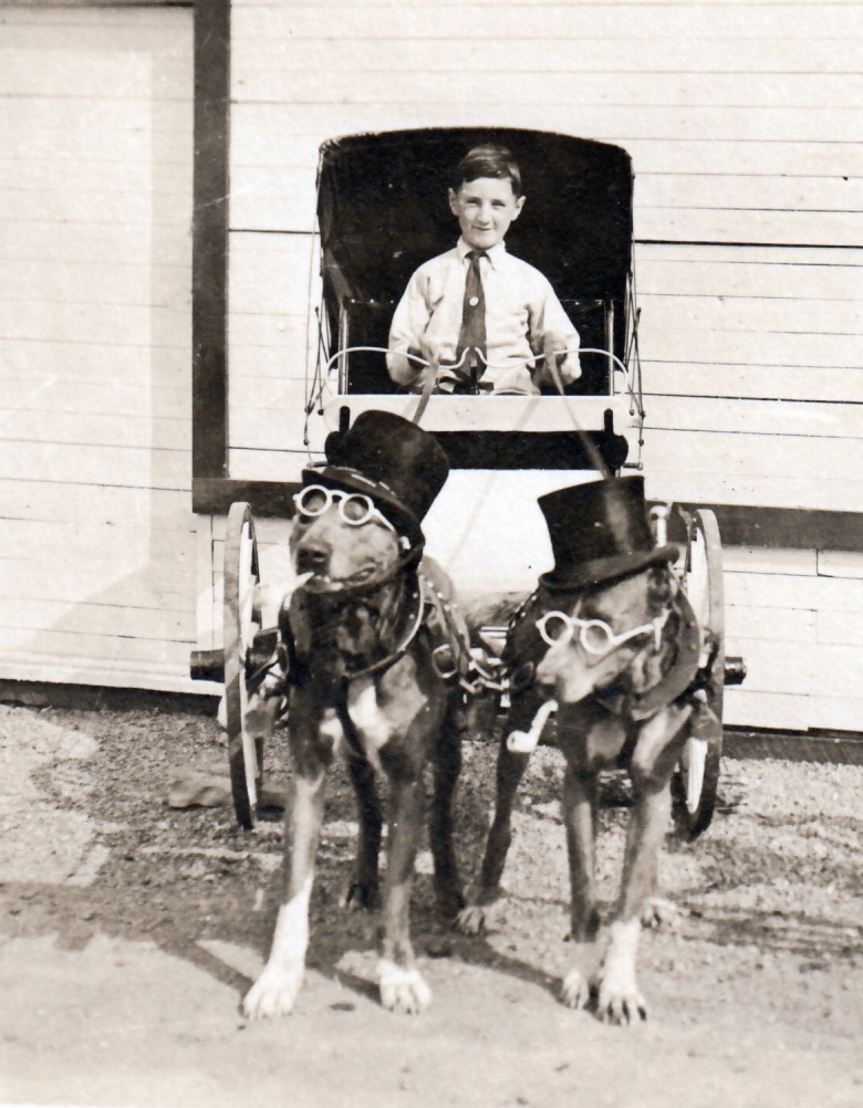 dogs-pulling-cart-detail.jpeg