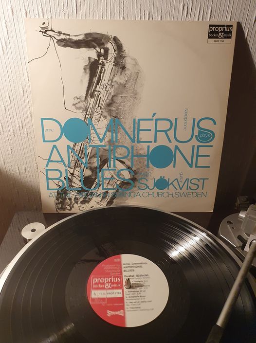 domn.jpg
