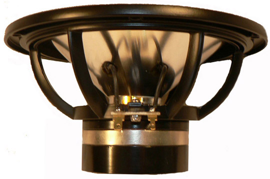 dp 11.jpg