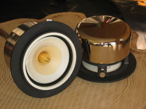 dp 18.jpg