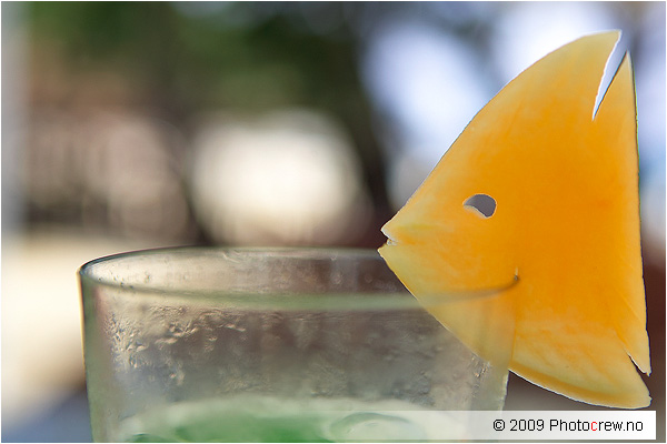 drinkfish.jpg