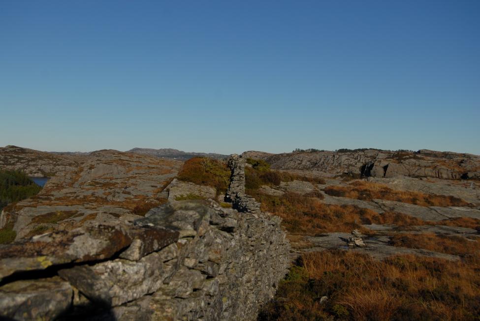 DSC_0041.jpg