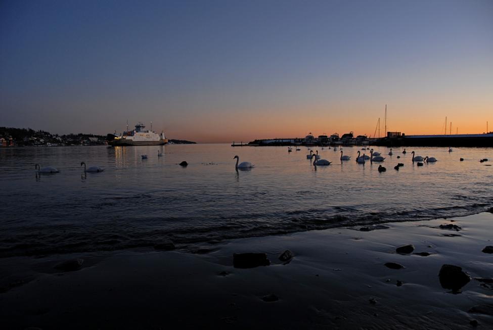DSC_0051_1.jpg