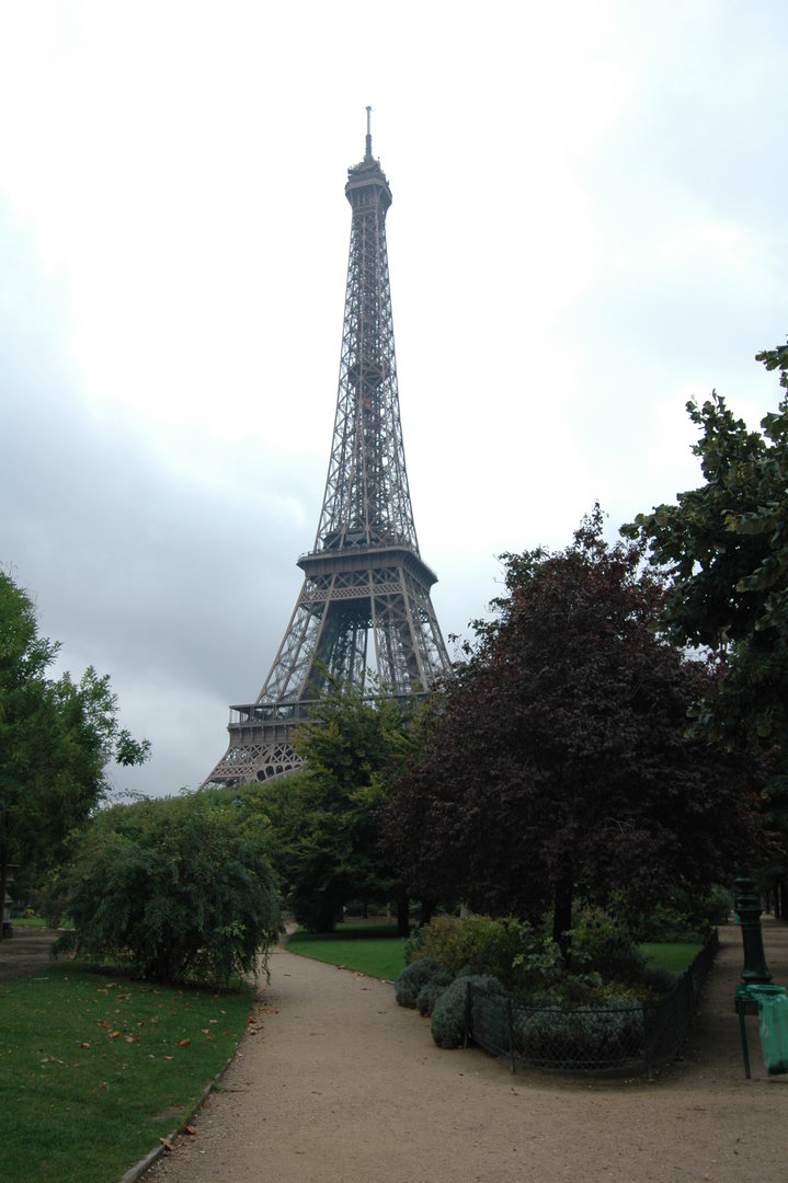 DSC_0101.JPG