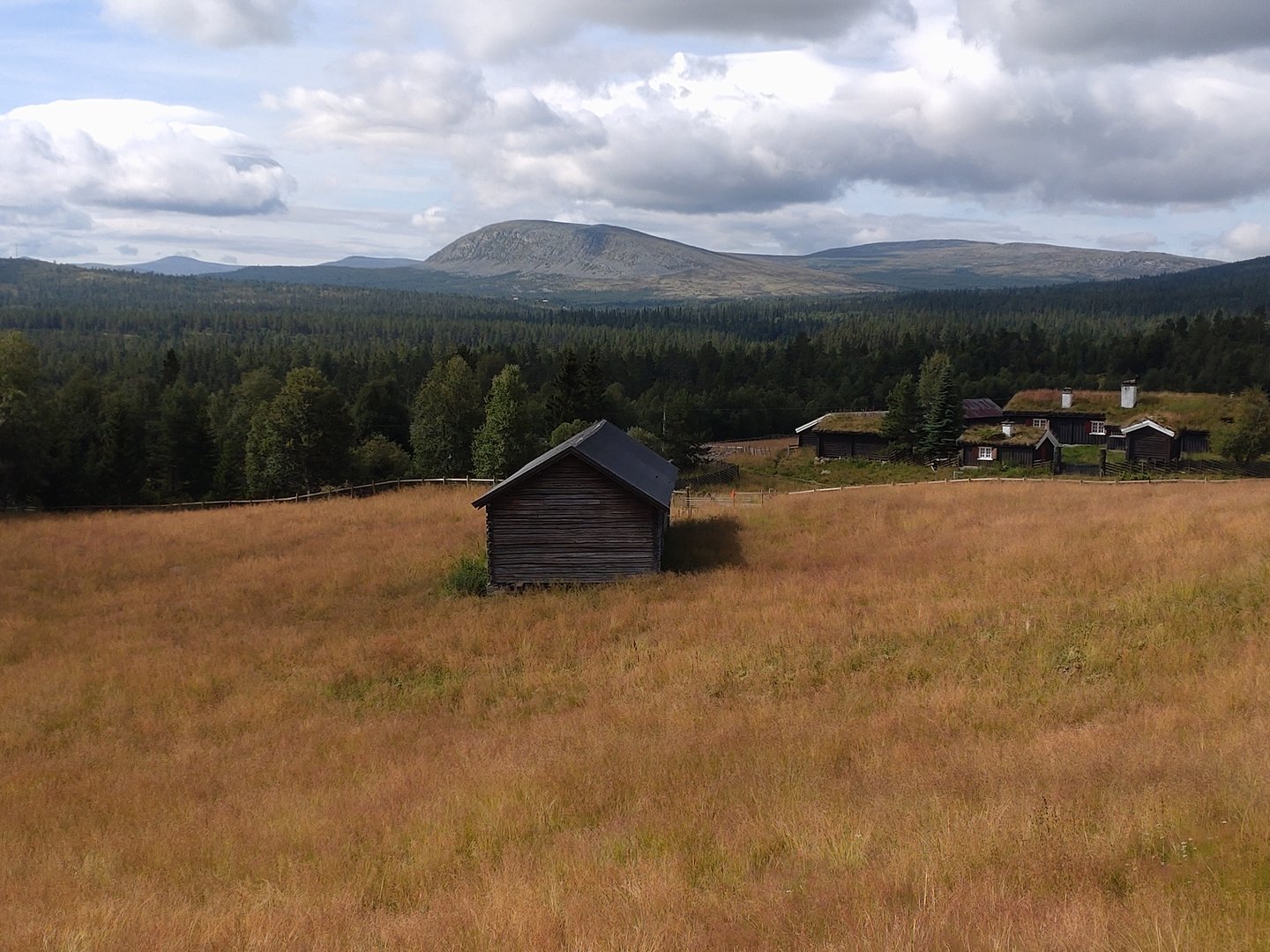 DSC_0127.JPG