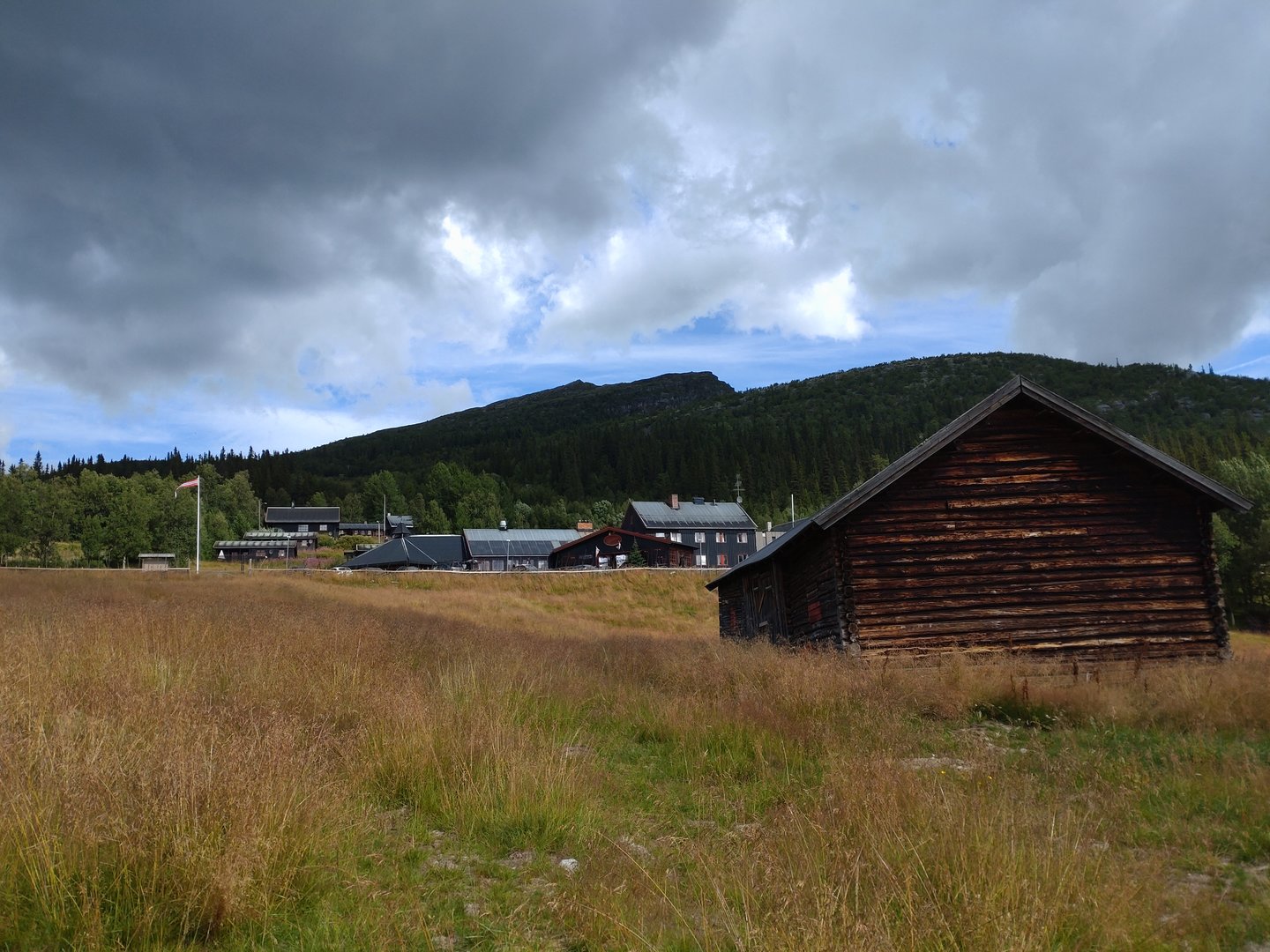 DSC_0132.JPG
