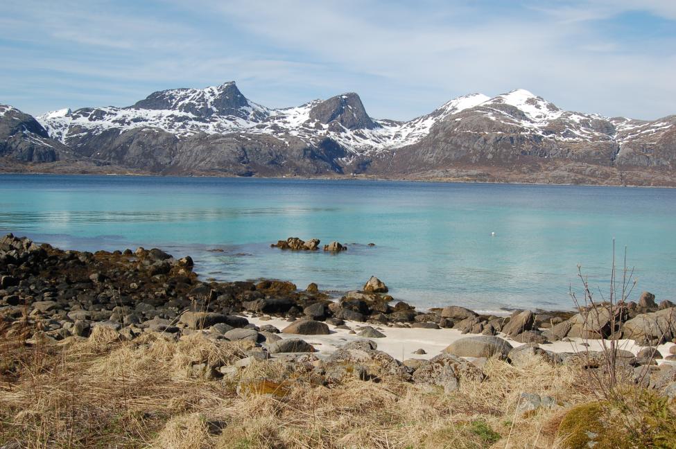 DSC_0171.jpg