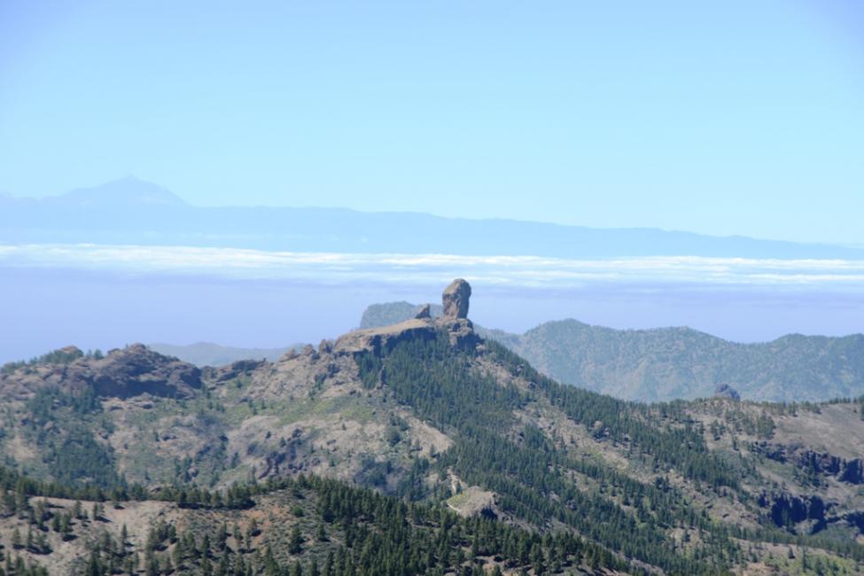 DSC_0227.jpg