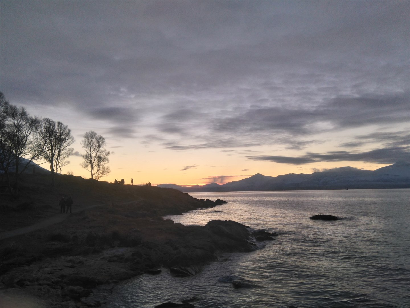 DSC_0289 (2).JPG