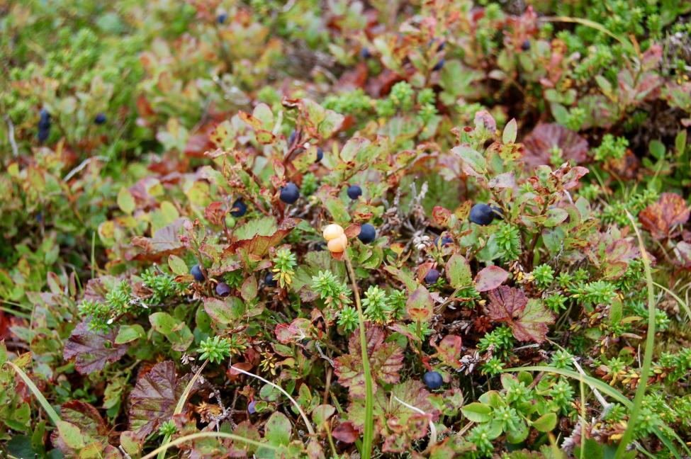 DSC_0533.jpg