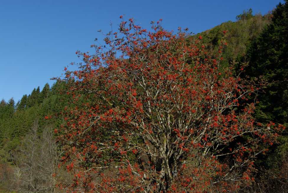 DSC_0743.jpg