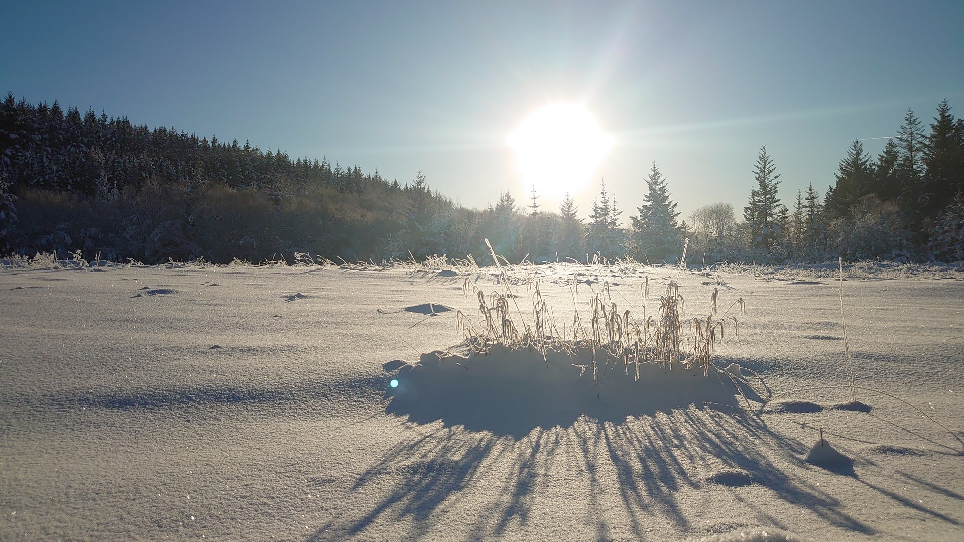 DSC_0796.JPG