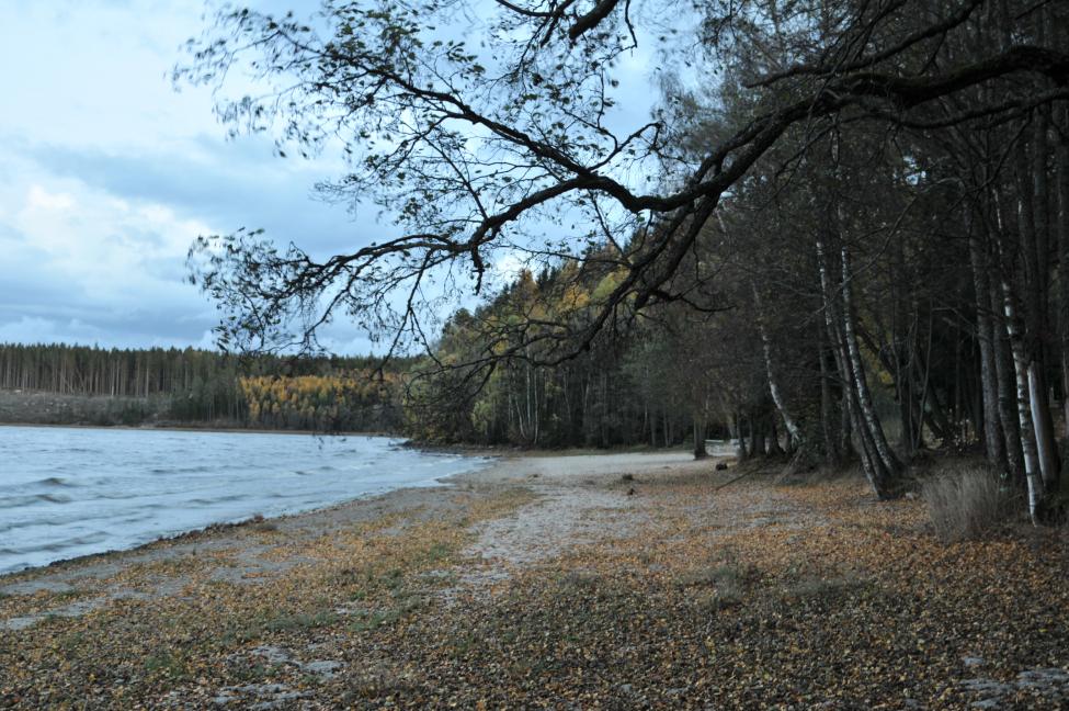 DSC_0816.jpg