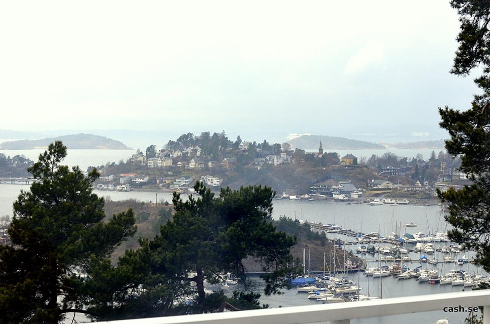 DSC_0846.jpg