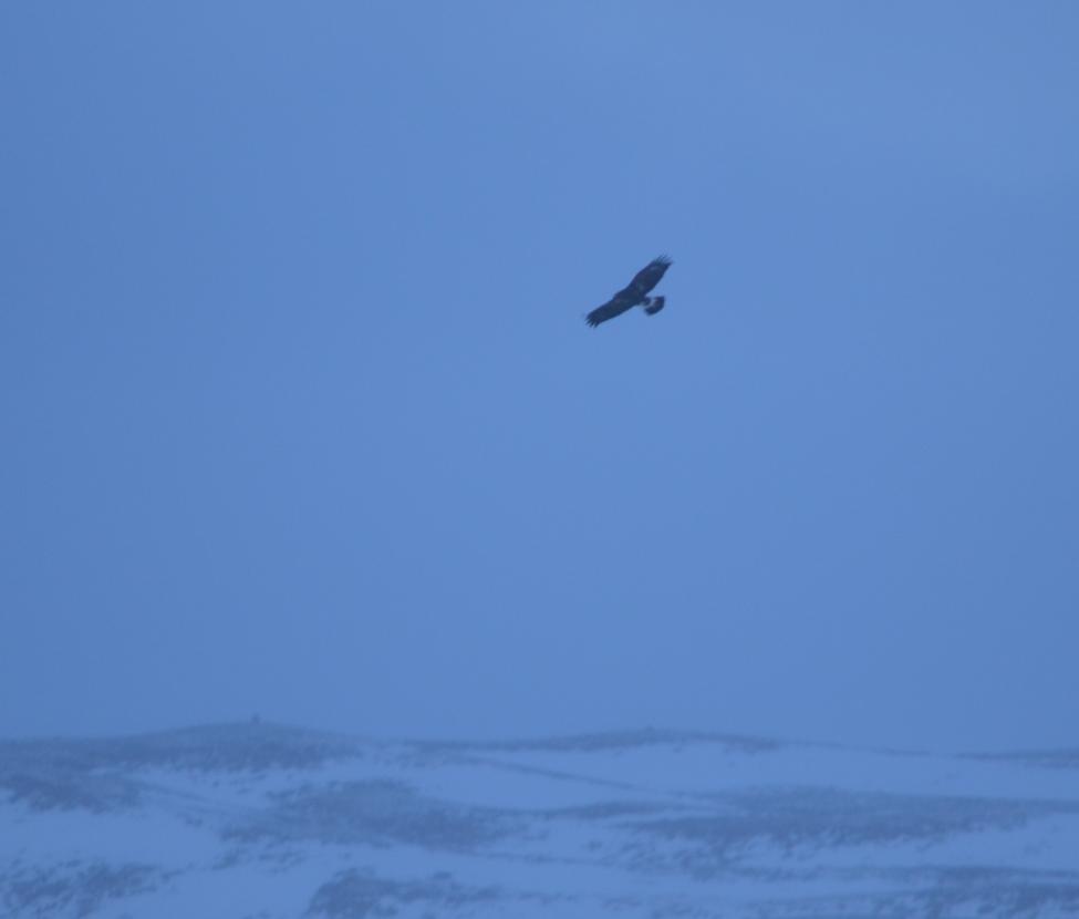DSC_0852.jpg