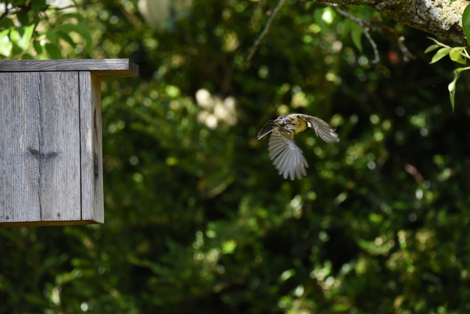 DSC_1564.JPG