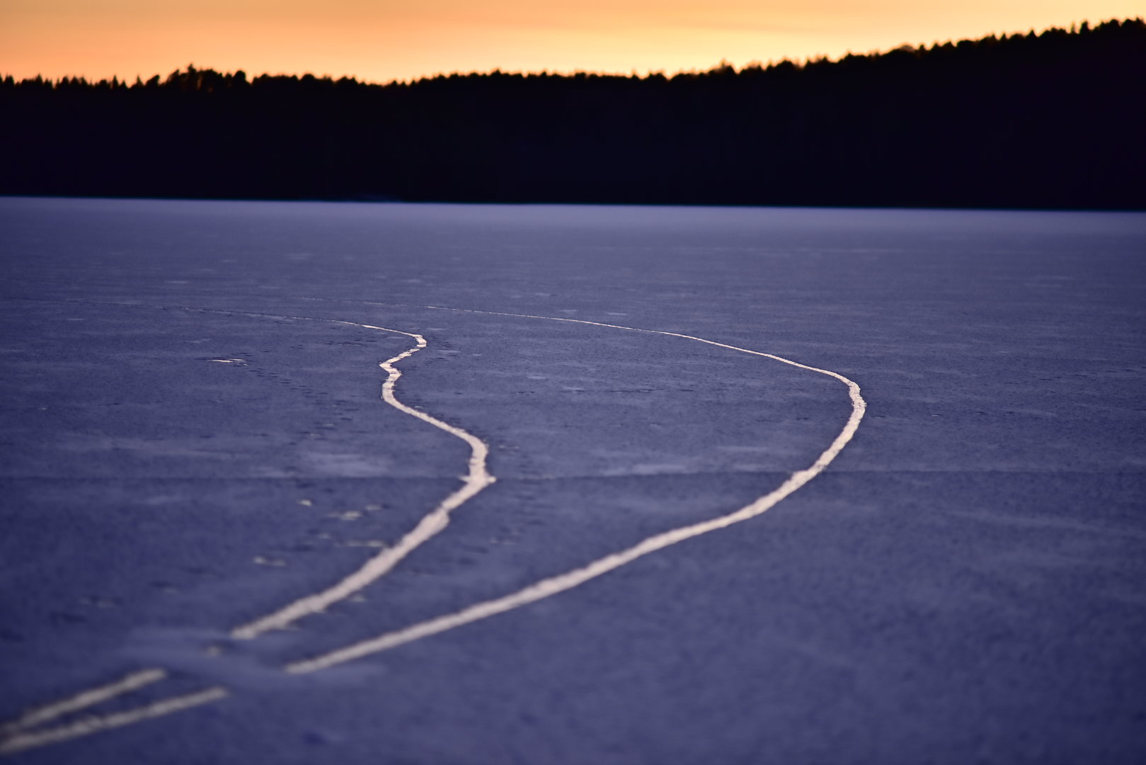 DSC_2869.JPG