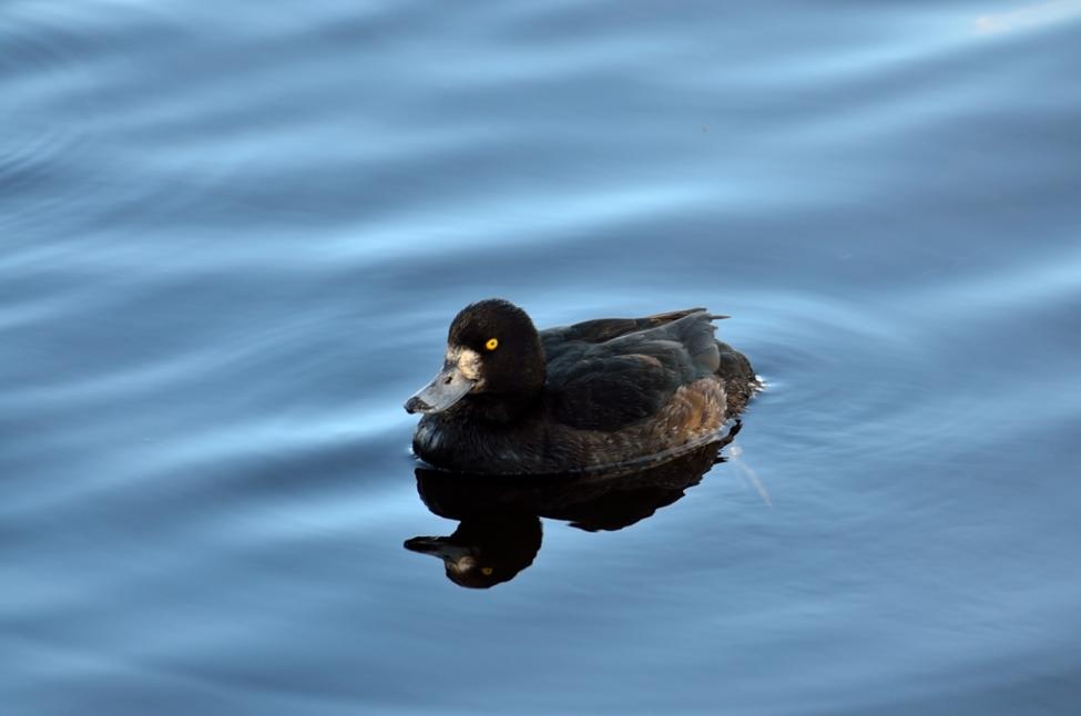 DSC_4571.jpg
