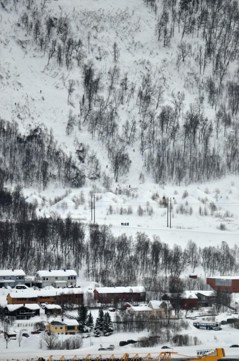 DSC_6294_01.jpg