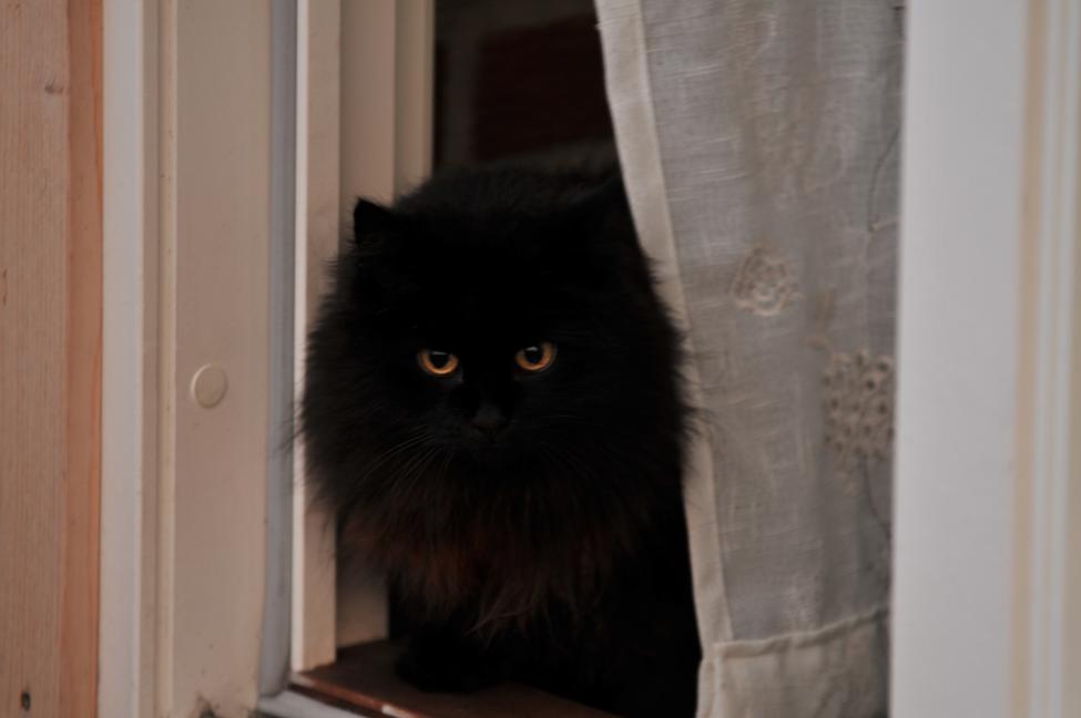 DSC_6542.jpg