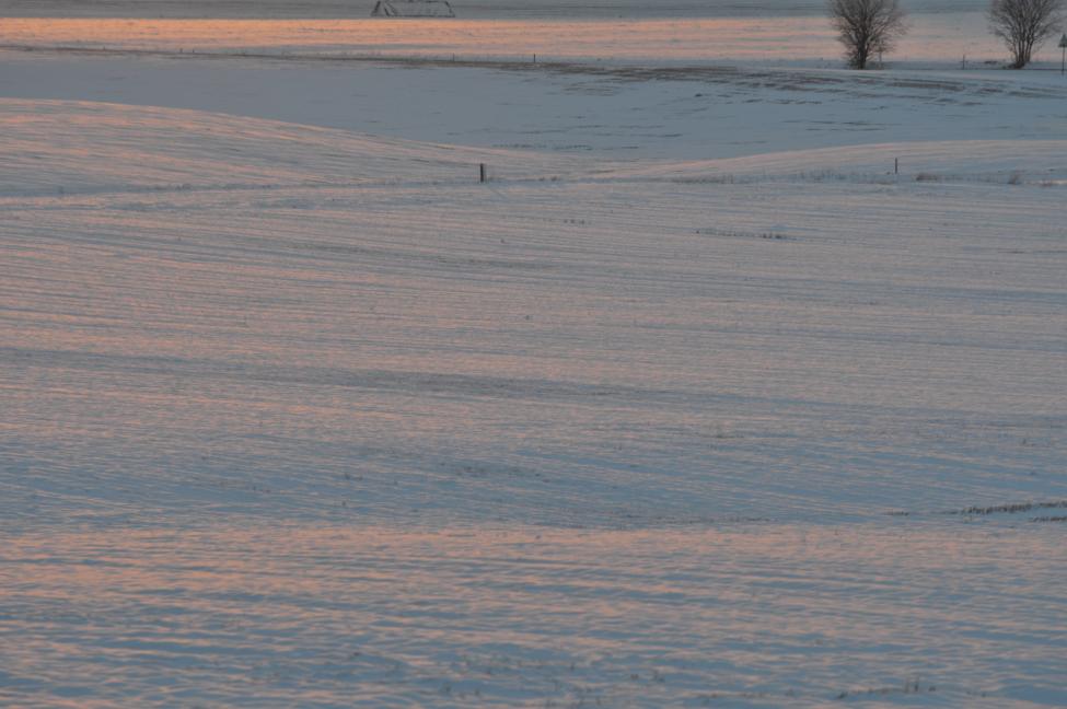 DSC_7540.jpg
