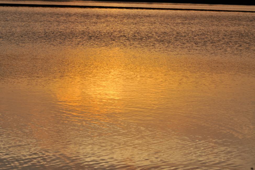 DSC_8245.jpg