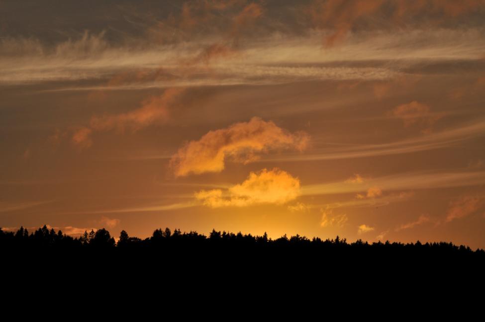 DSC_8246.jpg