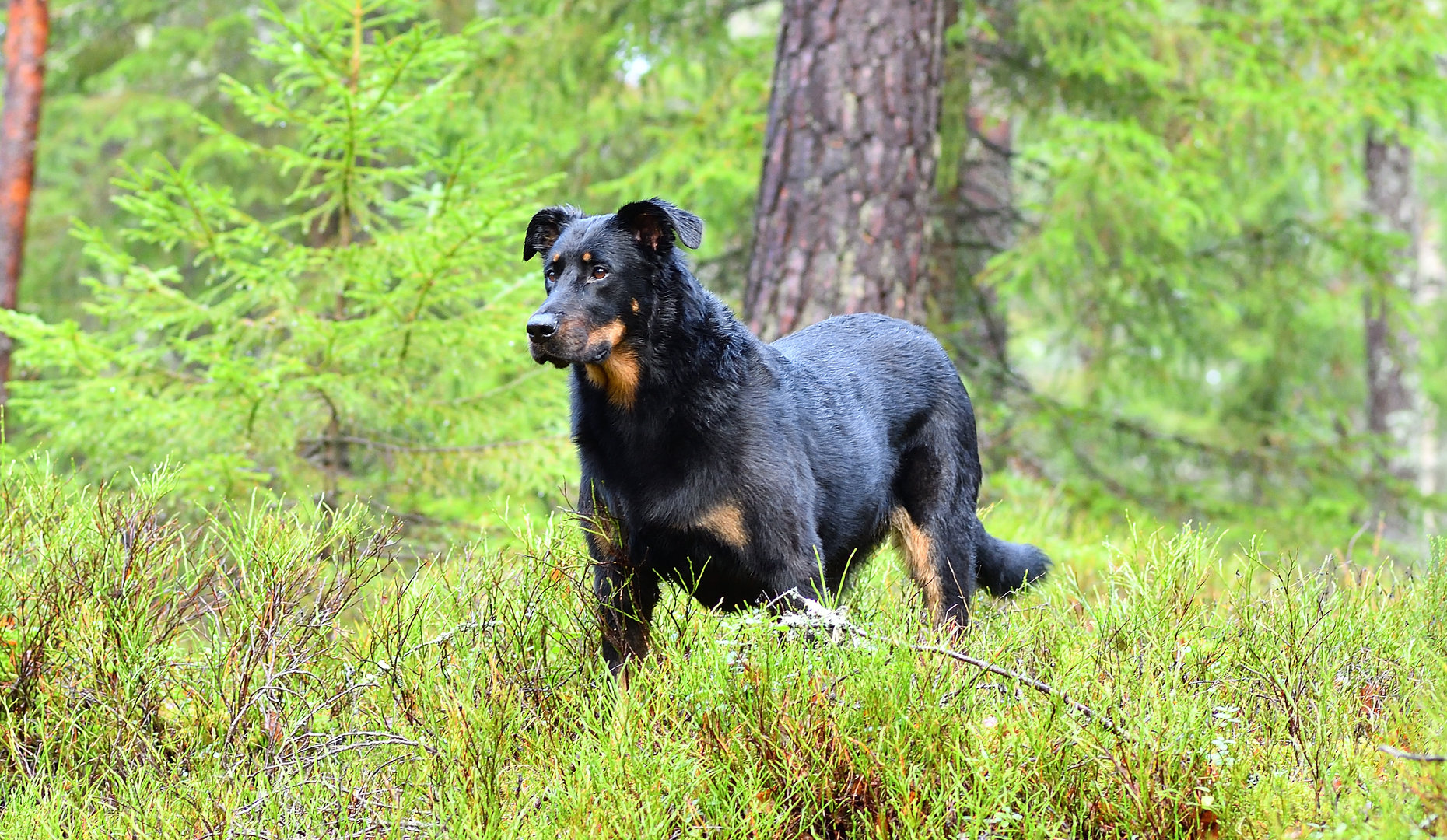 DSC_8713_01.JPG