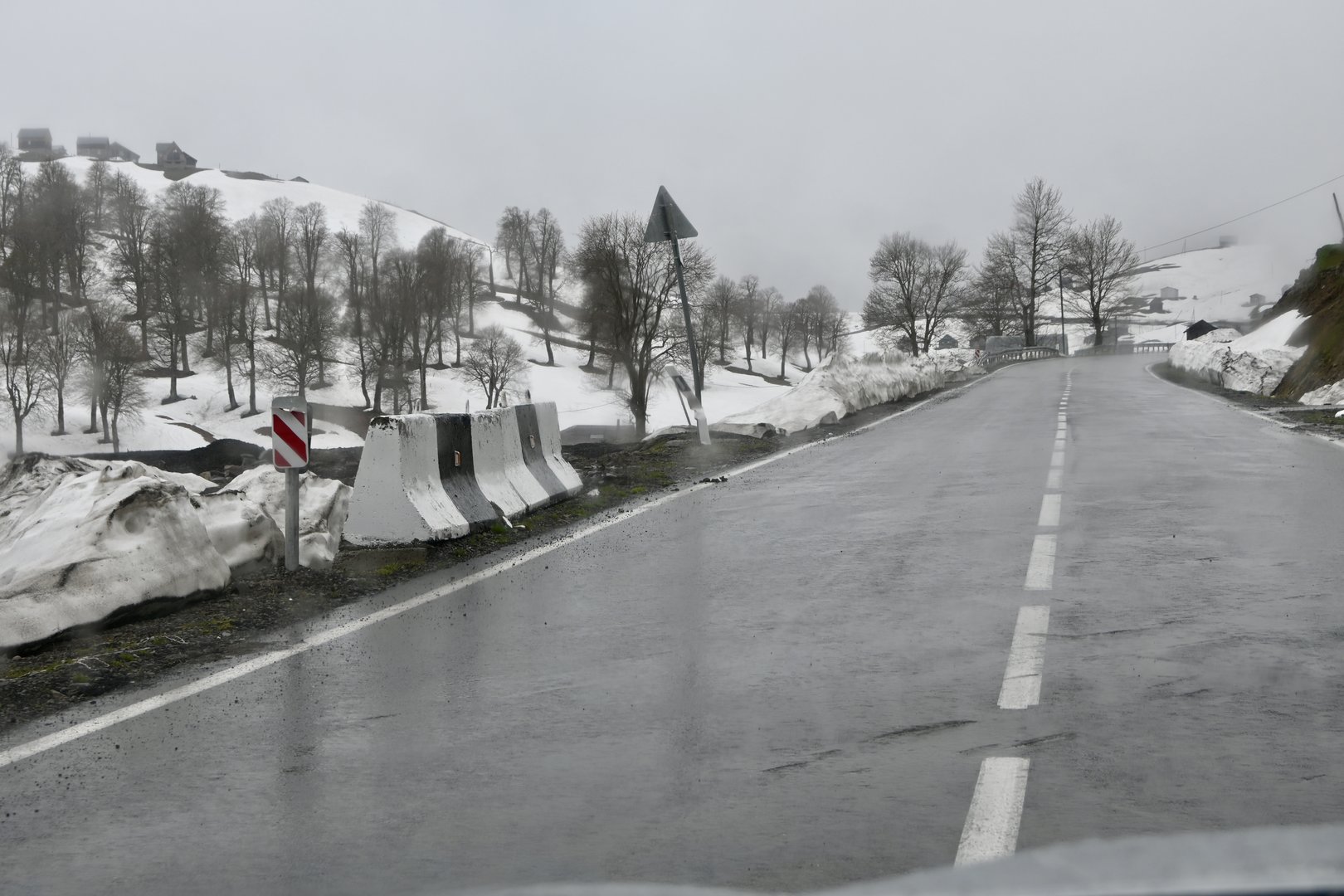 DSC_8979.jpeg