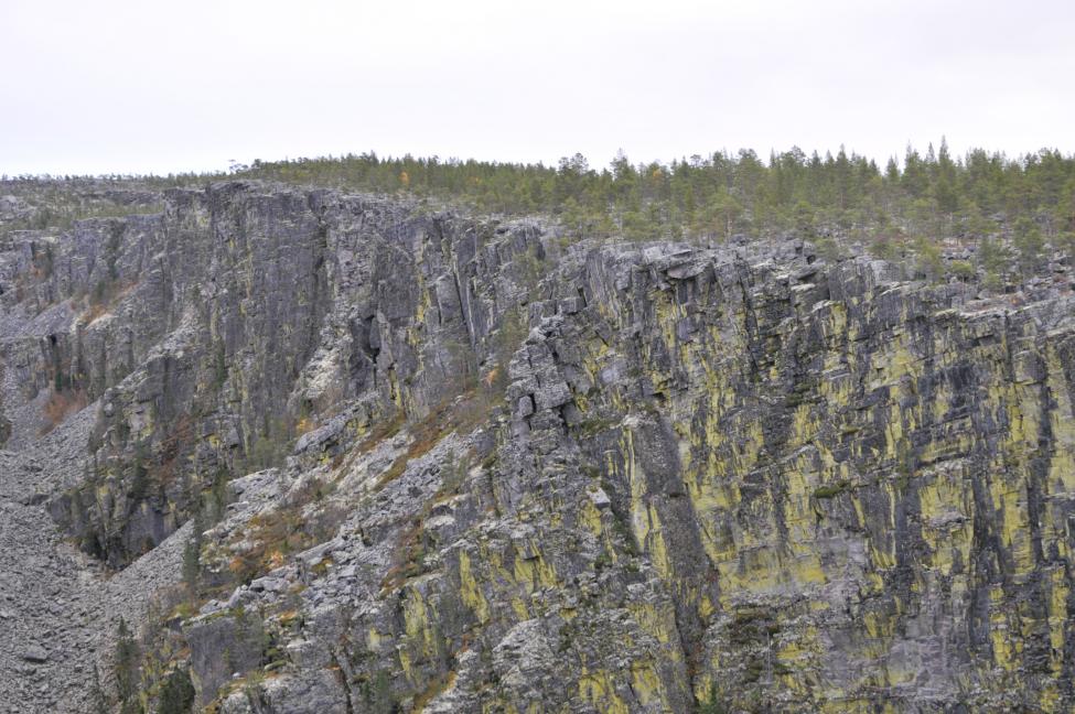 DSC_9446.jpg