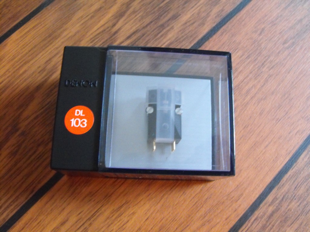 DSCF0006.JPG