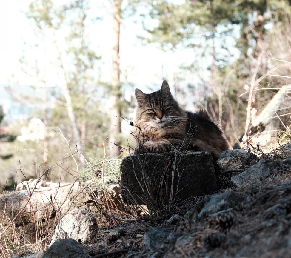 DSCF2965.jpg