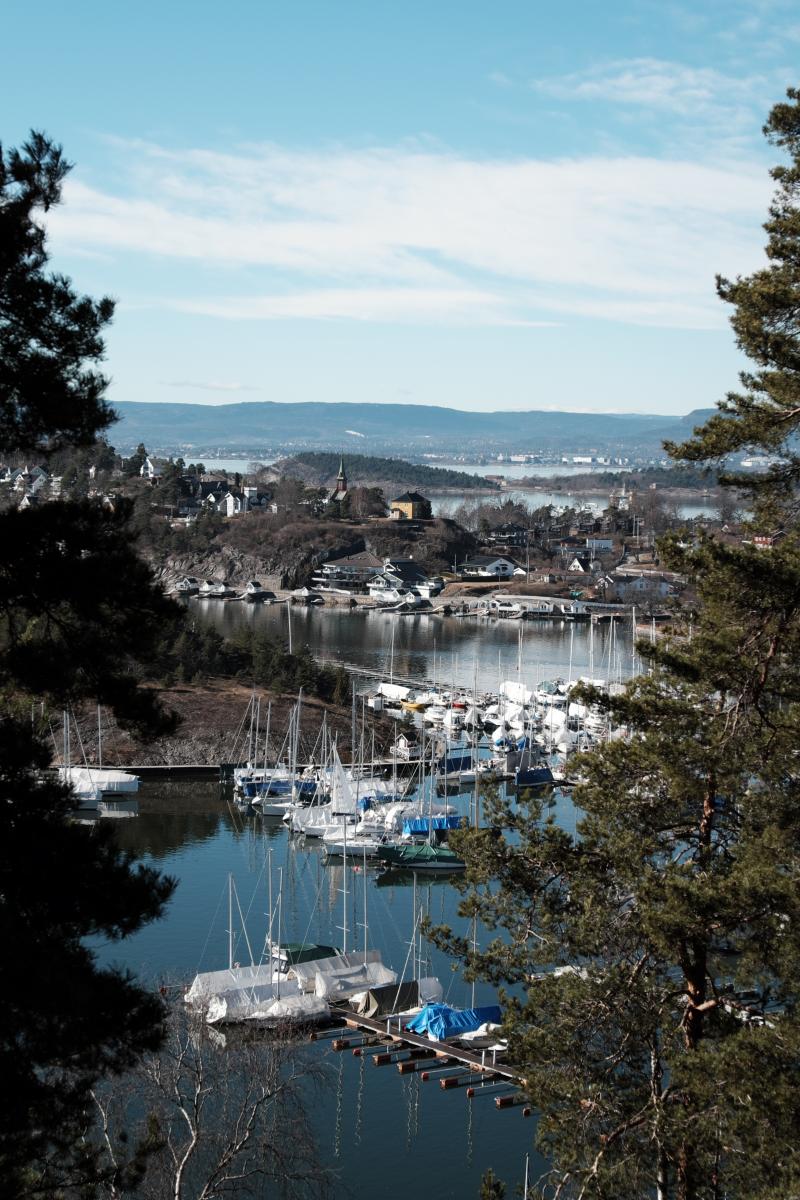DSCF2974.jpg