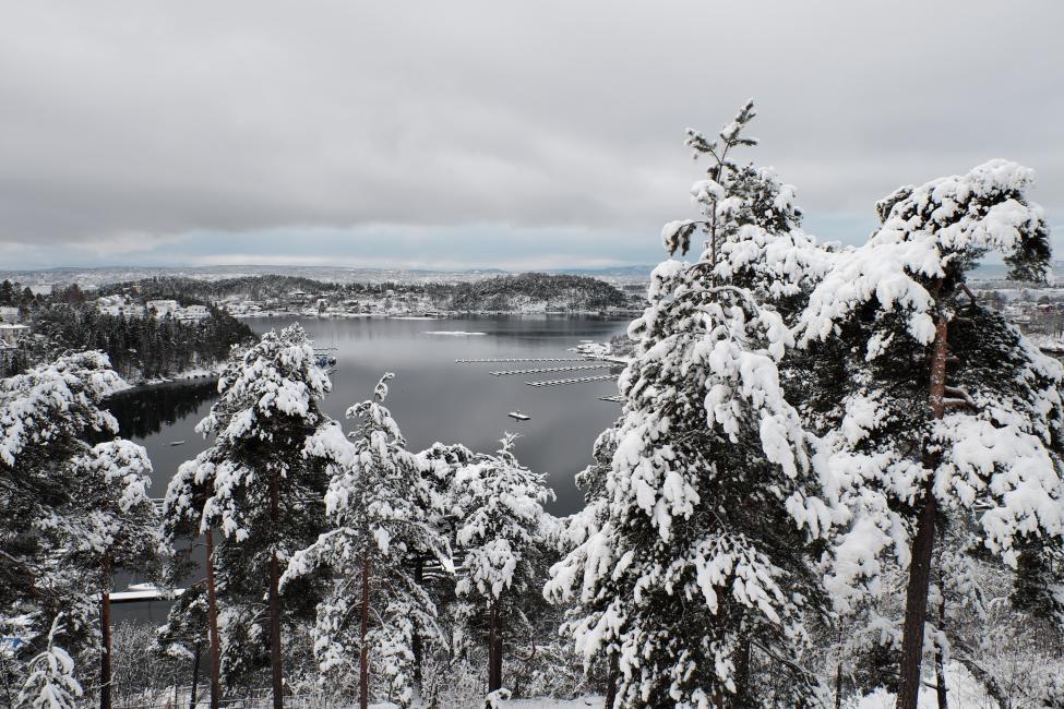 DSCF3636.jpg