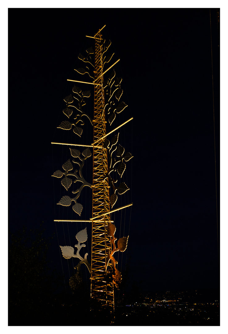 DSCF9496.jpg