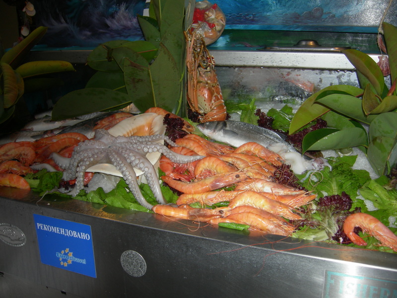 dscn4600.jpg