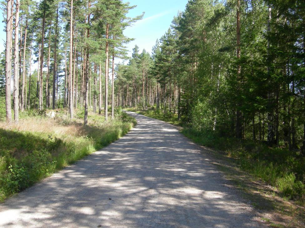 DSCN4738.jpg