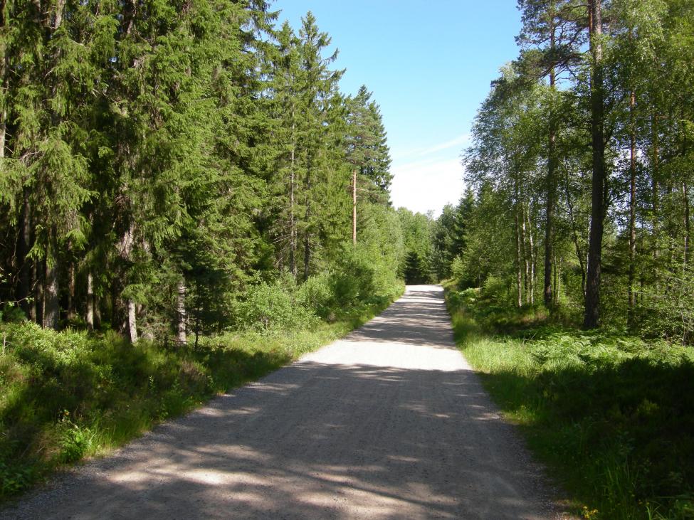 DSCN4743.jpg