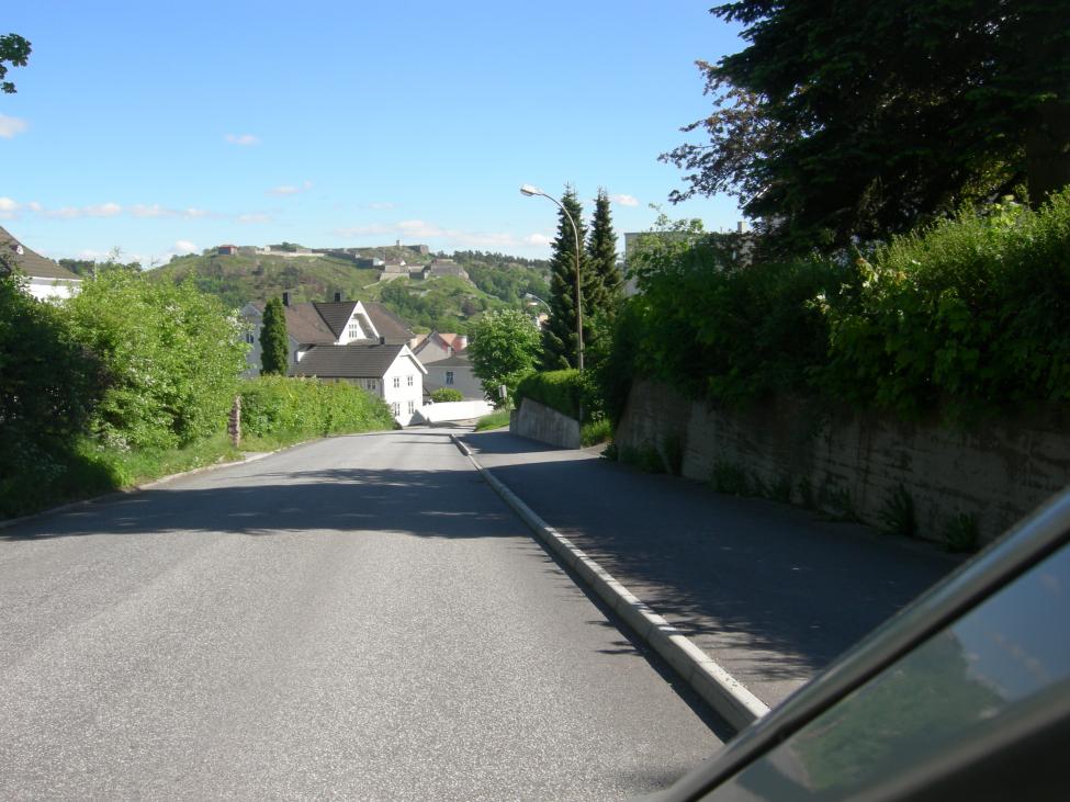 DSCN5527.jpg